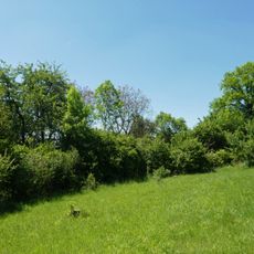 Feldgehölz im Gewann Hartwasen