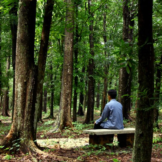 Purwodadi Botanical Garden