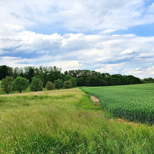 Feldgehölz Wasserwerk Schkortitz