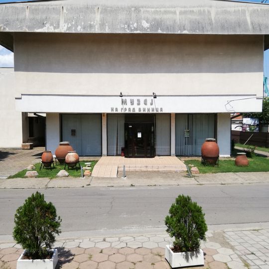Музеј на град Виница