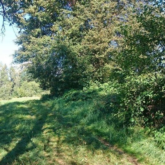 Kříž ve Světcích na svahu