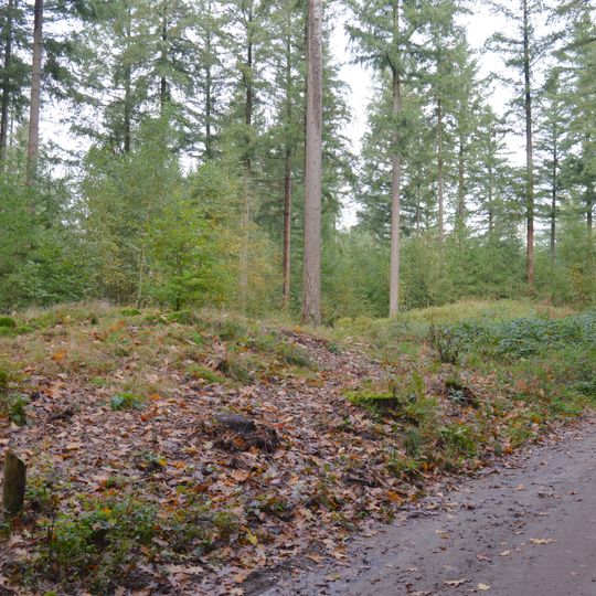 Terrein waarin twee grafheuvels