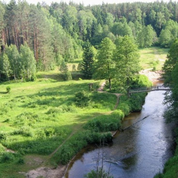 Національний парк Дзукія