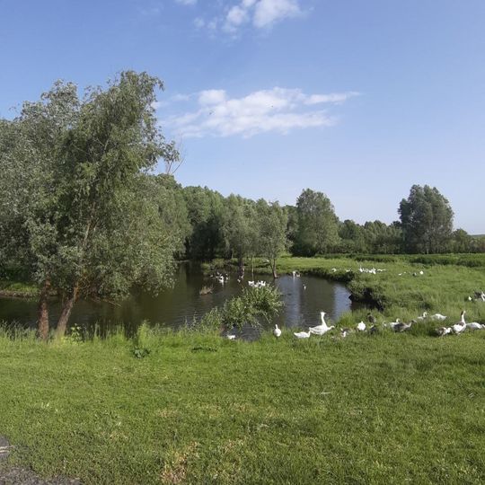 Старий шлях