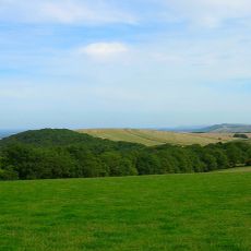 Bignor Hill