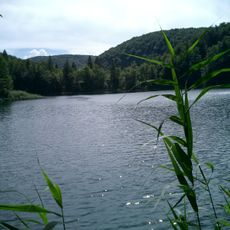 Kozjak