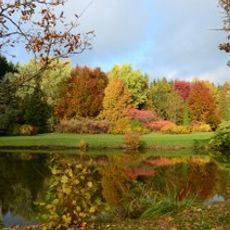 Izidoriaus Navidansko parkas