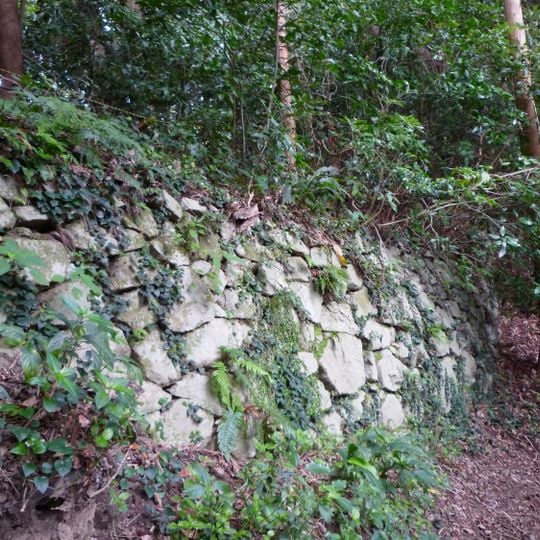 Château de Tachibana