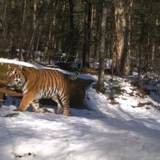 Bastak Nature Reserve