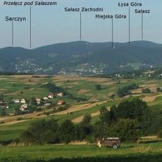 Dzielec (Pasmo Łososińskie)