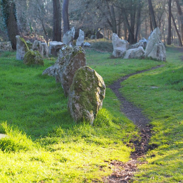 Alignements du Petit Menec