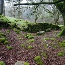 Glaze Meet blowing house (Tinner's Foundry)