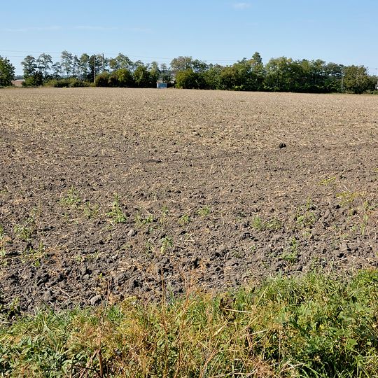 Fundzone Marchfeld-Ost