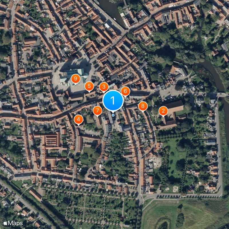 Ribe Map