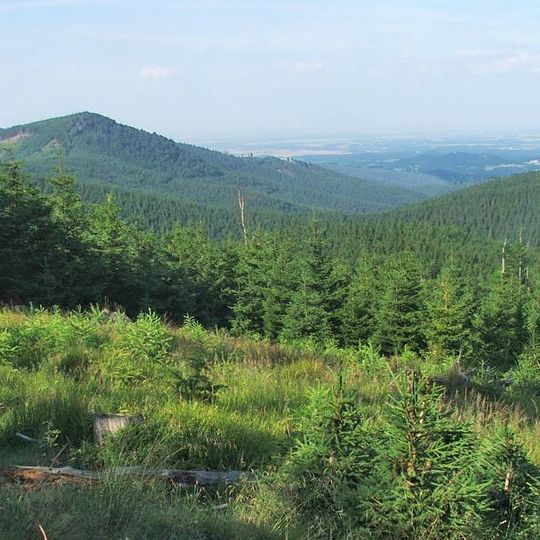 Nature reserve Puszcza Śnieżnej Białki