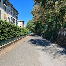 Chemin des Saules