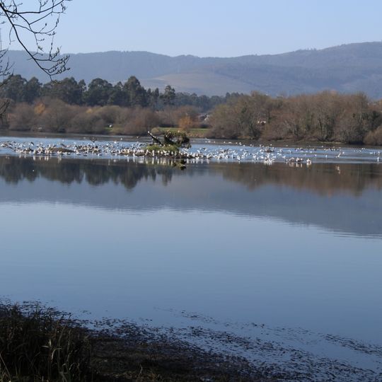 Estuários dos Rios Minho e Coura