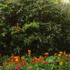 Parc du Millénaire