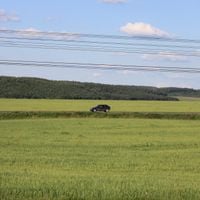 Красноборский сельсовет