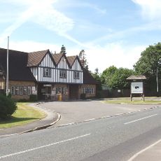 Pinewood