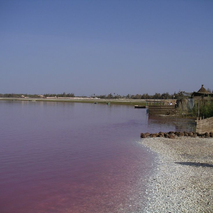 Lac Rose