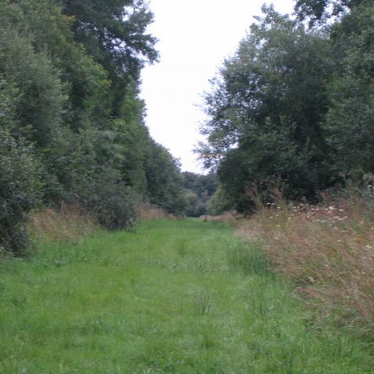 Grendon and Doddershall Woods