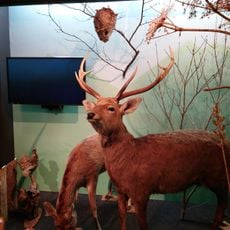 Erimo Town Museum & Museum of Kombu and Fishery