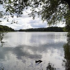 Brassø