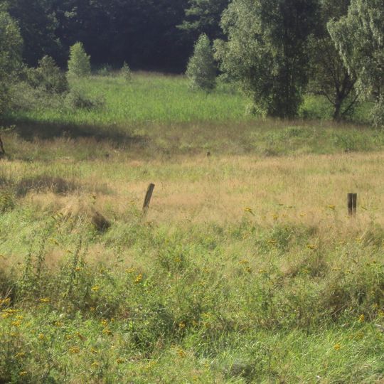 Rašeliniště Mařeničky