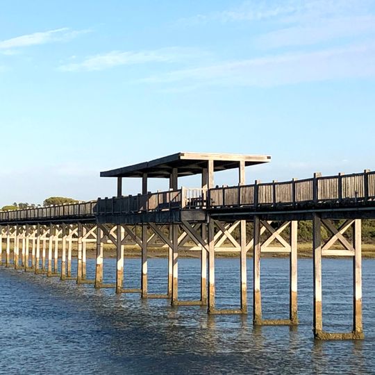 Río San Pedro wooden bridge