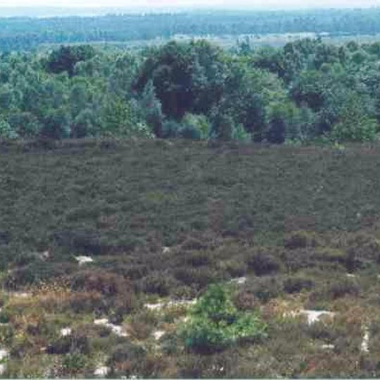 Sallandse Heuvelrug National Park