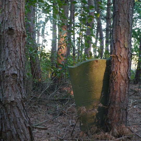 Jewish cemetery in Brójce
