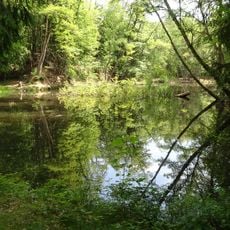 Aufgelassener Steinbruch