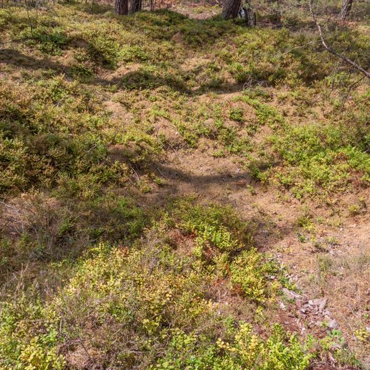 Ch   Wolfsgrube im gemeindefreien Gebiet Winkelhaid