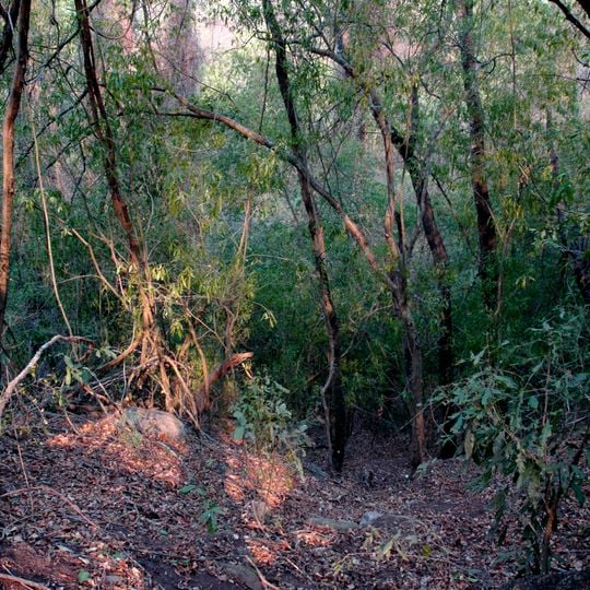 Reserva de biosfera de Yungas