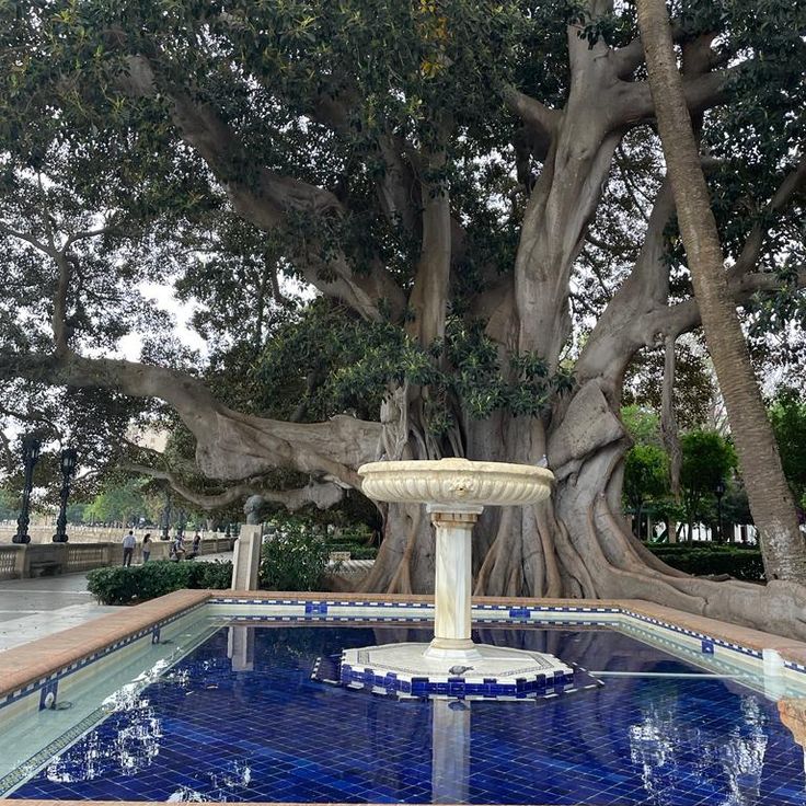 Star Fountain