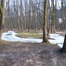 Mokřady dolní Liběchovky