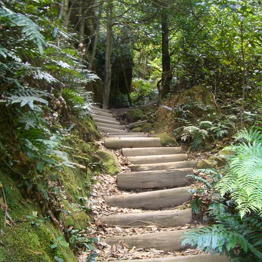 Blue Mountains walking tracks