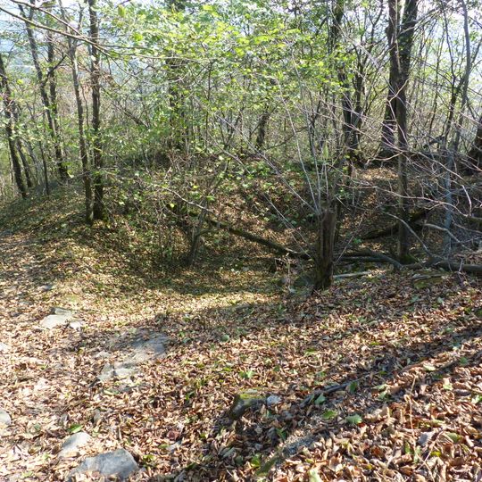 Burgstall Rauhenkulm