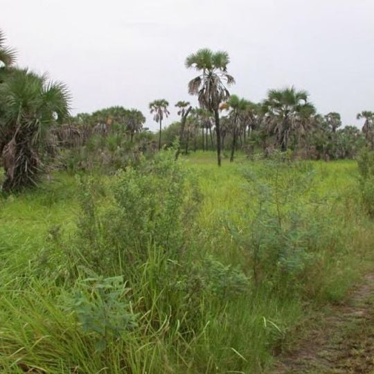 Provincia dello Zaire