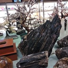 Museo Mineralogico e Paleontologico di Pio Mariani