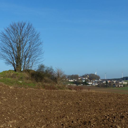 Turmhügel Rodesgrün