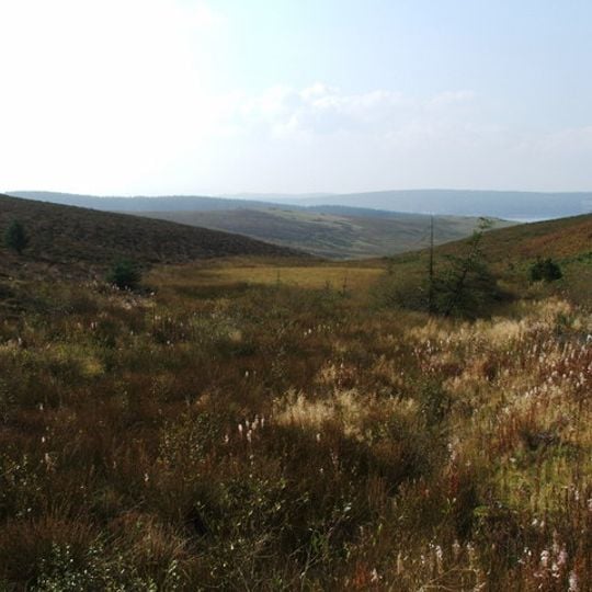 Denbigh Moors