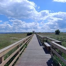 Rezerwat Mechelińskie Łąki