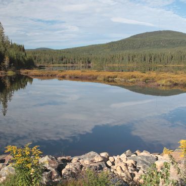 Parki i tereny zielone na przedmieściach Paryża