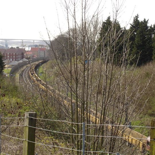 Stoke Tunnel Cutting, Ipswich