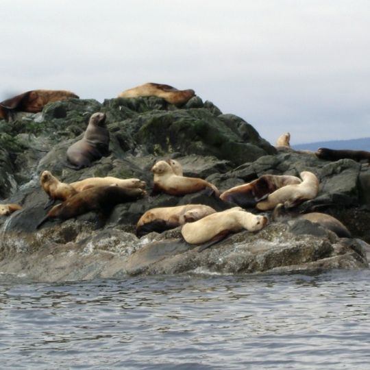 Mitlenatch Island Nature Provincial Park