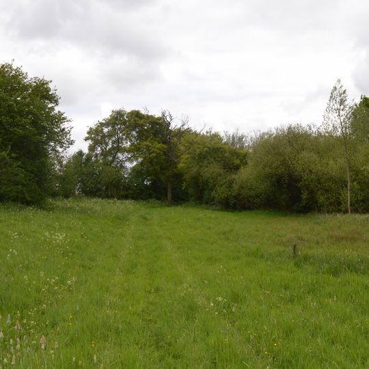 Ashdon Meadows