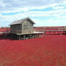 Red Seabeach