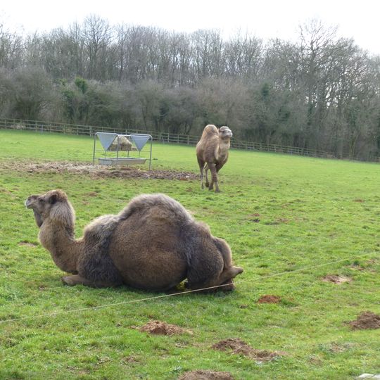 Heythrop Zoological Gardens